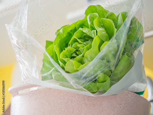 Closeup of fresh green lettuce in plastic bag with pink plastic bowl in the kitchen. Healthy food and diet concept.