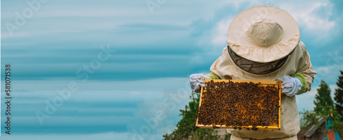 Banner. A beekeeper with protective gloves and ammunition holds a frame with bees on a blue sky background. Beekeeping. Honey production. Apiary in nature. Natural food. Bees in the honeycomb photo