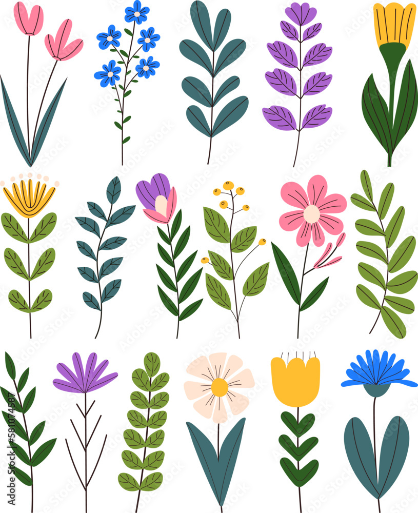 flowers, plants in doodle style on a white background isolated, vector flowers, plants in doodle style on a white background isolated, vector