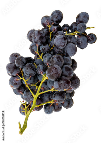 grappe de raisins noir sur fond transparent photo