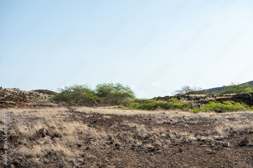 Island landscape with dry grass and volcanic sand. Ascension island.