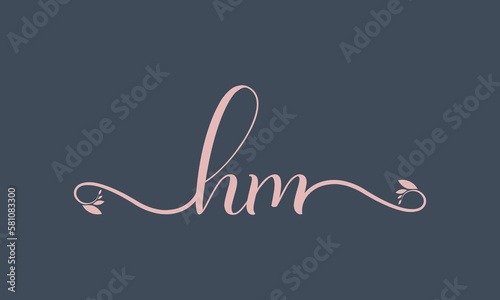 HM initial handwriting logo template vector illustration Background design.
