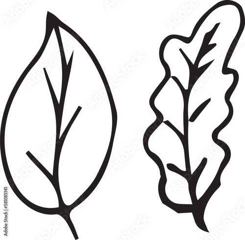 black and white leaves. Set line art. Vector illustration of autumn leaves.
