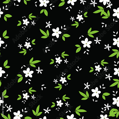 Blooming white jasmine flowers with a seductive scent on a black background