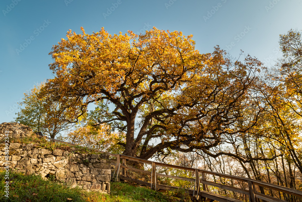 Ancient castle ruins near by lake Balaton in Hungary. The name is Kereki fort ruin. Ancient castle ruins near by lake Balaton in Hungary. The name is Kereki fort ruin.