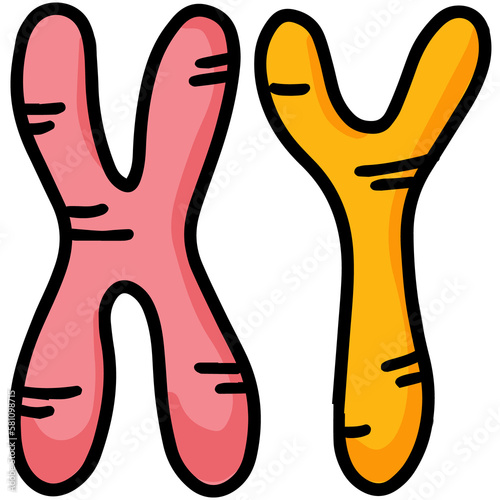 XY chromosome in cartoon doodle style