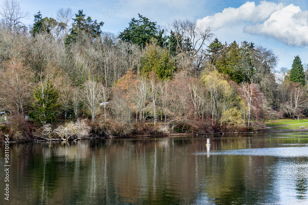 Early Spring Trees 7