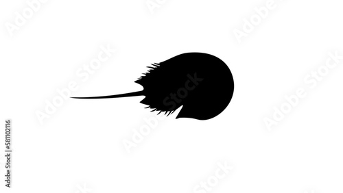 horseshoe crab silhouette