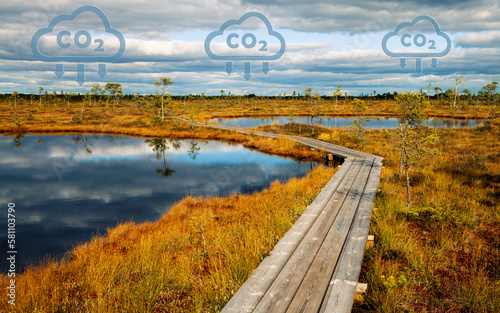 Carbon capture concept. Hiking trail trough the peat bog, which is a natural carbon deposit. Two bog pools.. photo