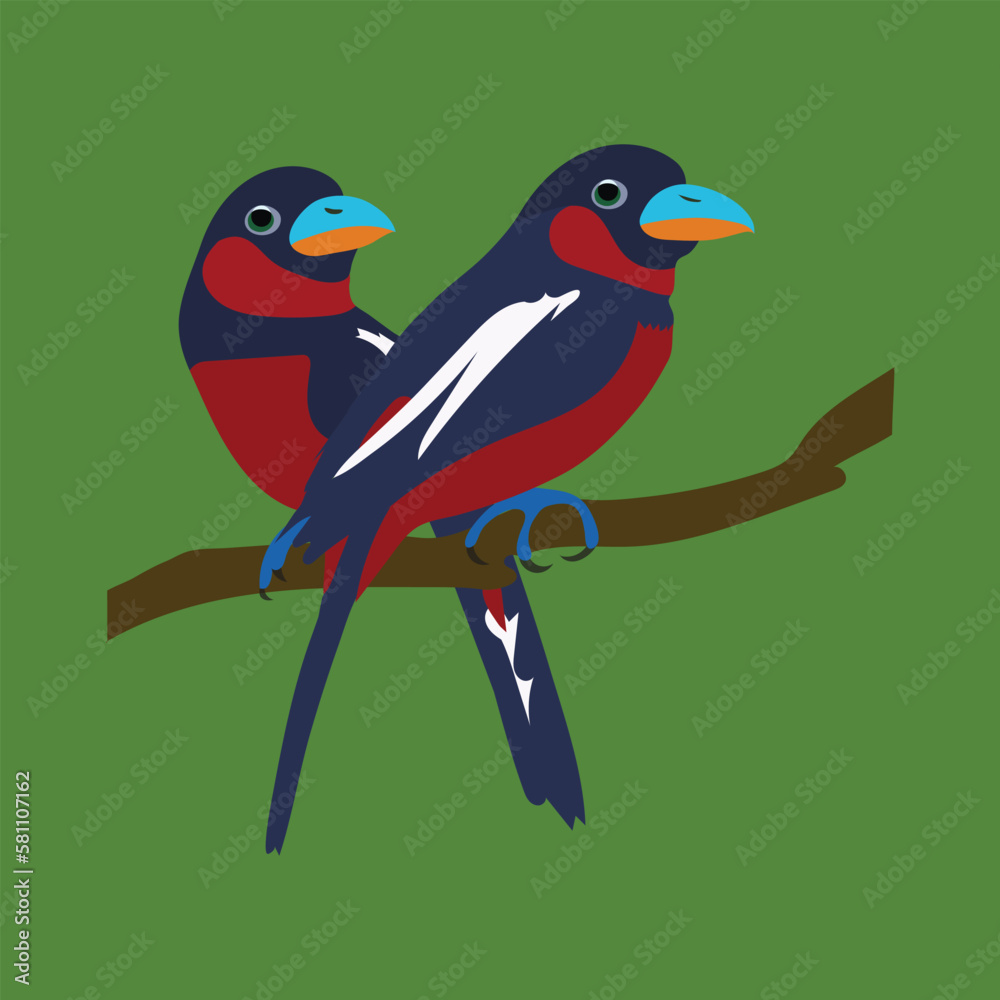 Black and red Broadbill bird-vector artowrk