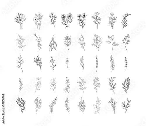 botanical elements vector illustration, minimal floral graphic sketch drawing, trendy tiny tattoo design,  © marrmarstudio