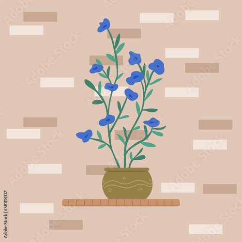 Indoor garden plants and fresh flowers in pot and watering can isolated on white. House growing potted houseplants set for greenhouse design. Landscape design elements, decor on terrace or threshold