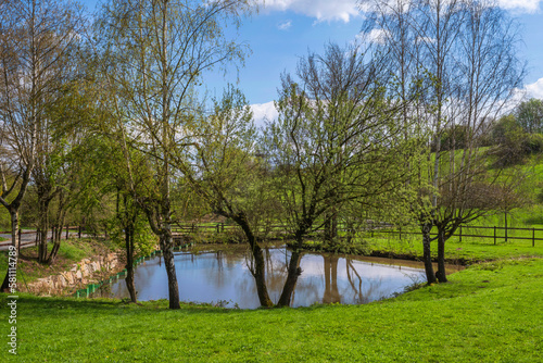 A small pond surrounded by trees near Wiesbaden/Germany in the Rheingau on a sunny spring day