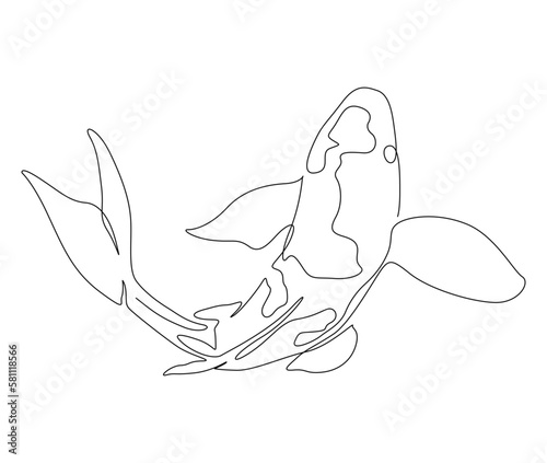 Continuous one line drawing of fish. Simple koi fish outline vector illustration.