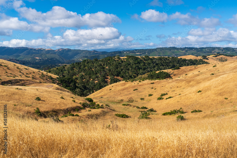Fototapeta premium Hilly Vistas at Fort Ord National Monument