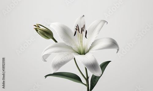  a white flower with a green stem in a vase on a white background with a gray background and a white background with a white background. generative ai