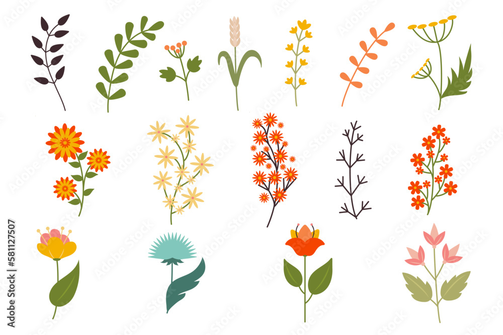 12 types of flowers illustration Stock Vector