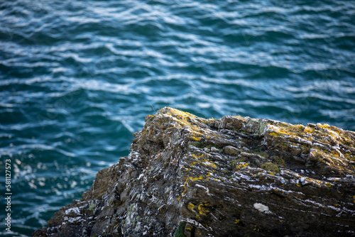 Rocks along the coast of Pendennis Point in Falmouth, Cornwall UK. photo