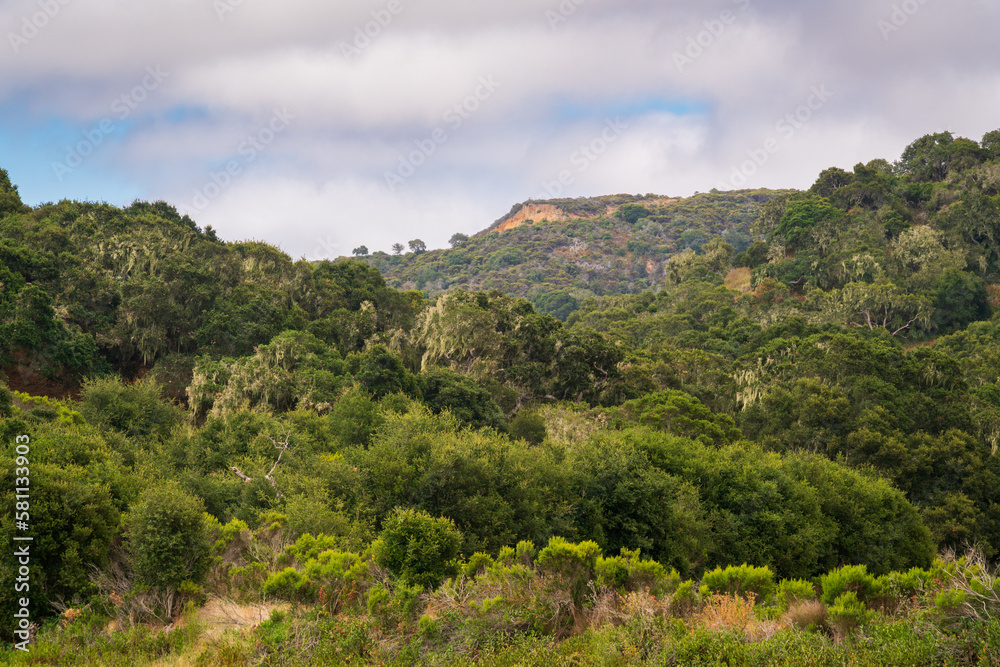 Hilly Vistas at Fort Ord National Monument