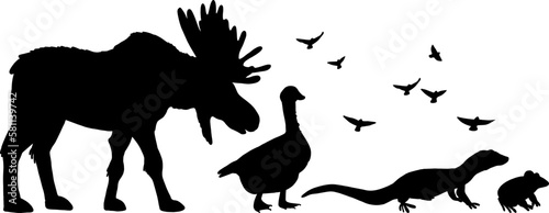 Animal Silhouette Vector Illustration