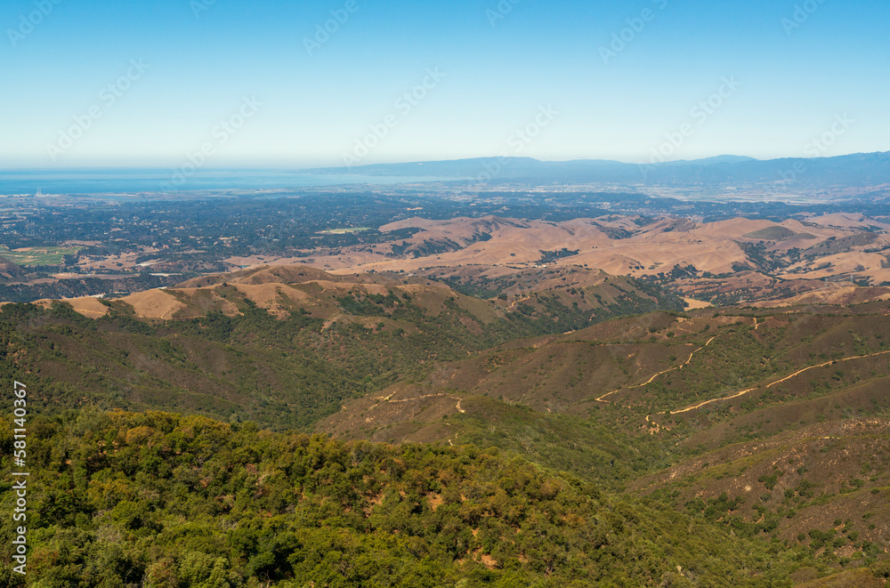 Forest Overlook at Fremont Peak State Park in California