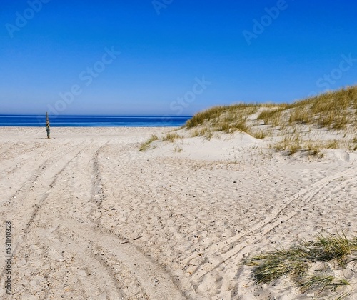 sand dunes on the beach