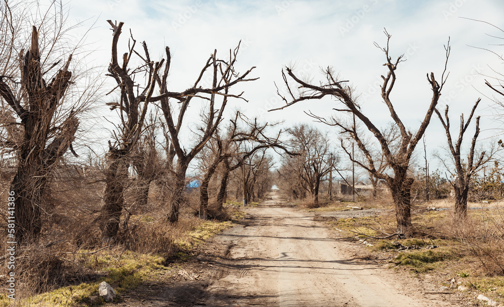 Kherson. The consequences of the war in Ukraine Kherson. The consequences of the war in Ukraine