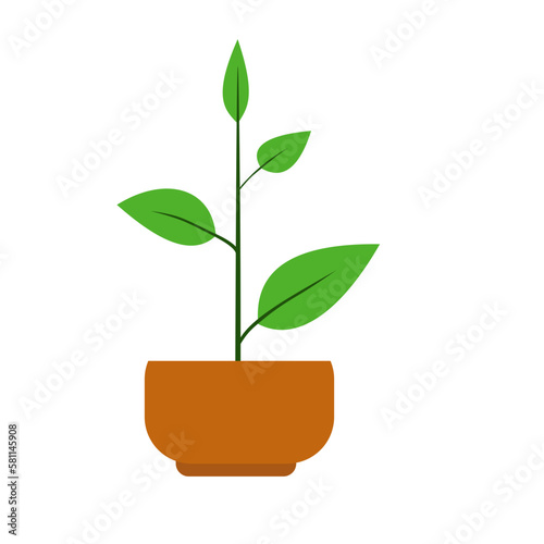 House Plant Element