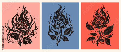 The rose is hand-painted on an isolated background. Three times in the flame of fire. A burning rose. Vector illustration