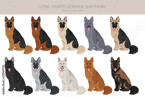 Long haired german shepherd dog  in different coat colors clipart