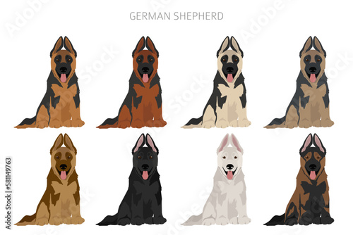 German shepherd dog  in different poses and coat colors clipart
