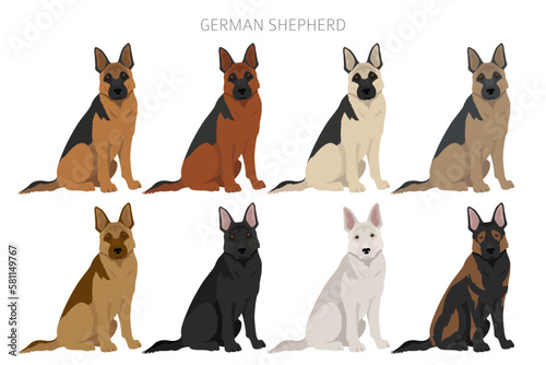 Fototapeta Naklejka Na Ścianę i Meble -  German shepherd dog  in different poses and coat colors clipart