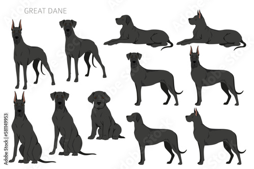 Great Dane clipart. Different poses, coat colors set