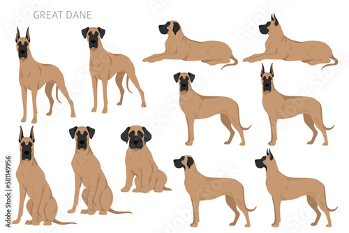 Great Dane clipart. Different poses, coat colors set photo