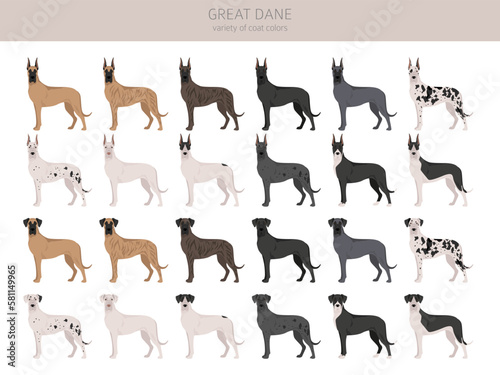 Great Dane clipart. Different poses, coat colors set