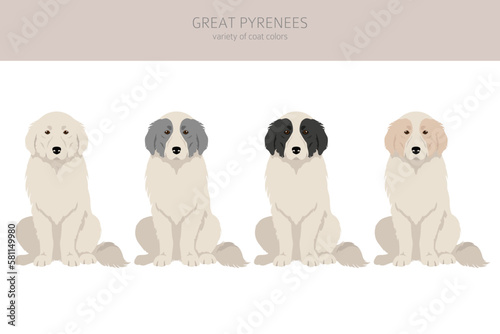 Great Pyrenees clipart. Different poses, coat colors set photo