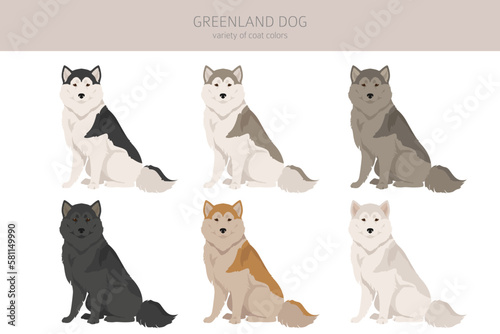 Greenland dog clipart. Different poses, coat colors set