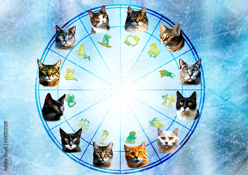 Canvas Print zodiac signs with illustrations of cats for each sign in horoscope  like astrolo