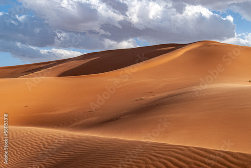 Sand dunes in the desert  Erg chebbi  Morocco