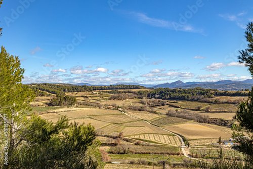 paysage de vignes et de champs dans le sud de la France