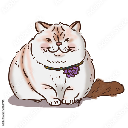 Cute fatty cat, illustration, on transparent backgond. Printable with high quality. photo