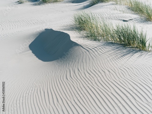 Fototapeta Naklejka Na Ścianę i Meble -  Sand dunes on Juist in Germany