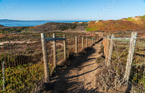 Fototapeta Naklejka Na Ścianę i Meble -  Trail at Fort Ord, Monterey Califoria, Summer