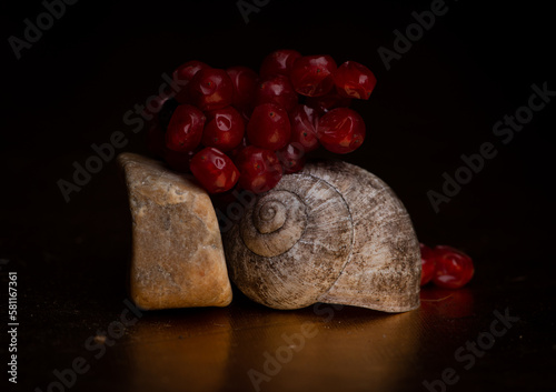 snail, nature, plant, green, flora, background, vintage, natural, arrangement, bouquet, beautiful, decoration, beauty, design, composition, fresh, floral, decorative, summer, forest, still life, 