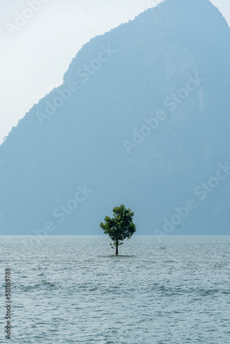 Lonely tree in the Andaman sea against the backdrop of the islands