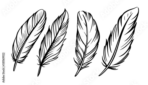 Feather sketch set on white.