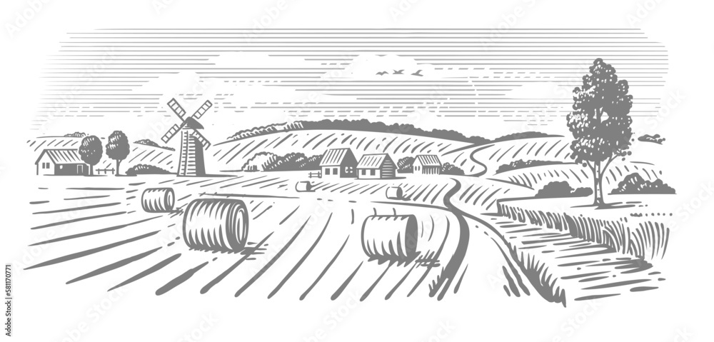 Rural landscape, agriculture farm vector. Harvesting