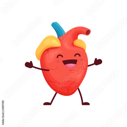 Cartoon human heart body organ kawaii character. Vector happy and healthy anatomical cardiovascular system personage rejoice with cute smiling face. Cardiology health care, medicine education for kids