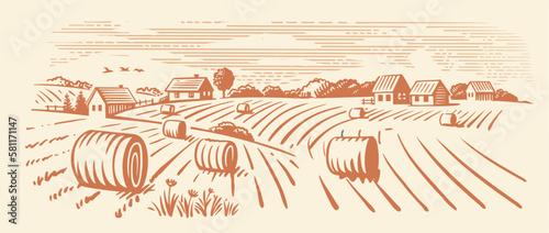 Rural landscape, agriculture farm vector. Harvesting