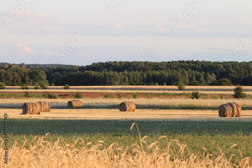 Obraz na płótnie Żniwa w salonie